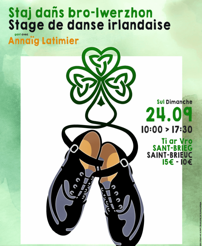 Stage danse irlandaise