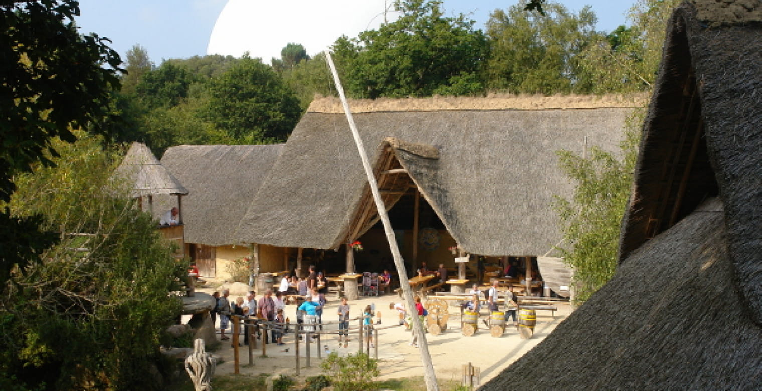 Village Gaulois (t1)