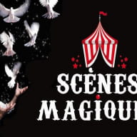 Scenes Magiques