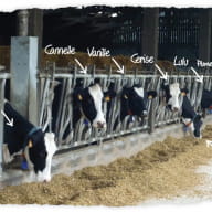 le-craulois-mon-fermier-prefere-notre-laitiere